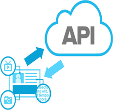 Biometric API Management 