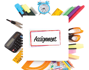 Assignment with Analysis Report